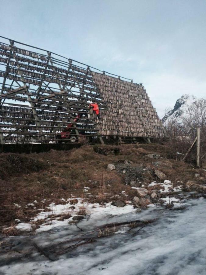 Koselig Hus Naert Havet I Lofoten, Kabelvåg Buitenkant foto